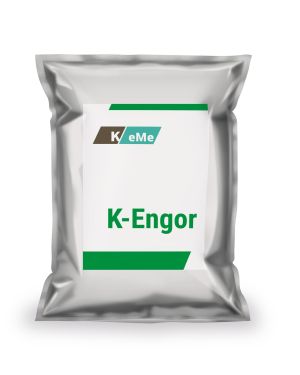 K-Engor