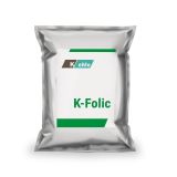 Mock-Up-KeMe_Saco_25kg_plata-K-Folic
