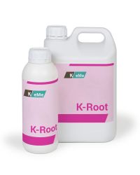 K-Root